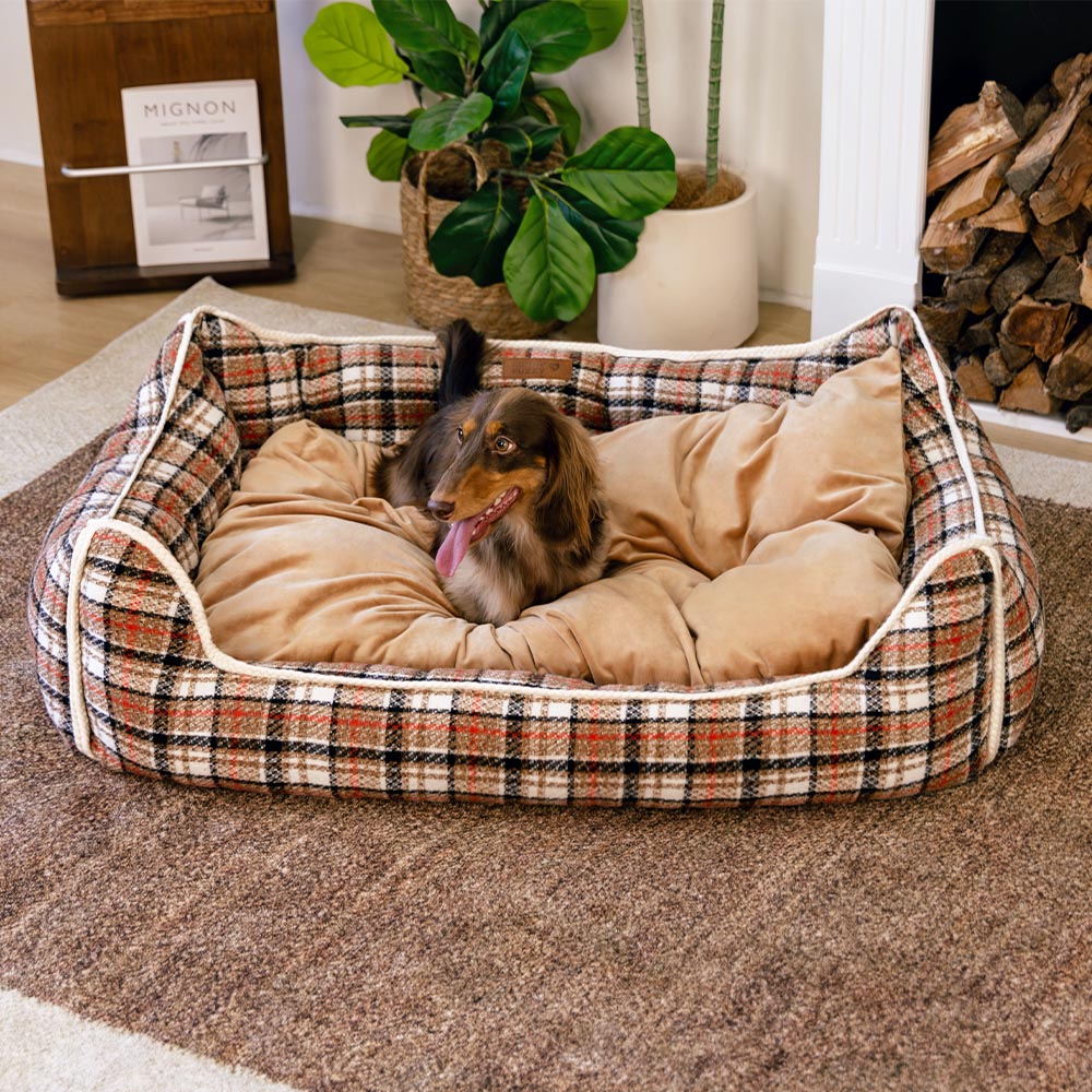 Pet's Cozy Crystal Velvet Dog Bed | Supportive Removable Bolster for Comfort 0