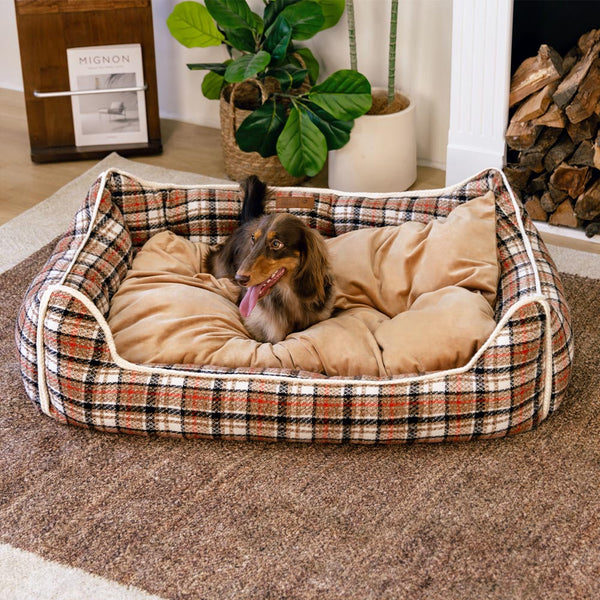 Pet's Cozy Crystal Velvet Dog Bed | Supportive Removable Bolster for Comfort 0