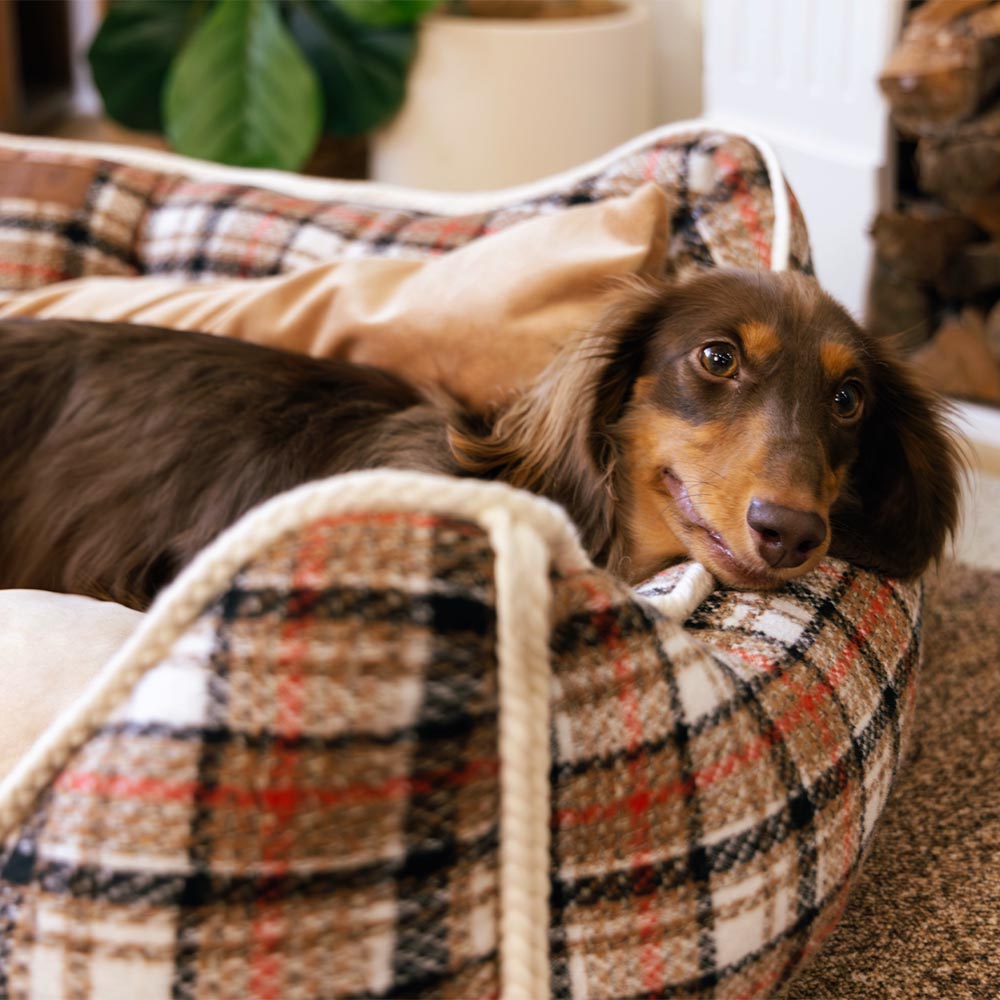 Pet's Cozy Crystal Velvet Dog Bed | Supportive Removable Bolster for Comfort 1