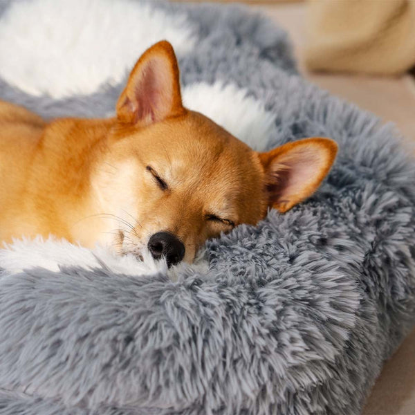 Pet's Cozy Fluffy Plush Dog Bed | Non-Slip Warm Sleeping Space 2
