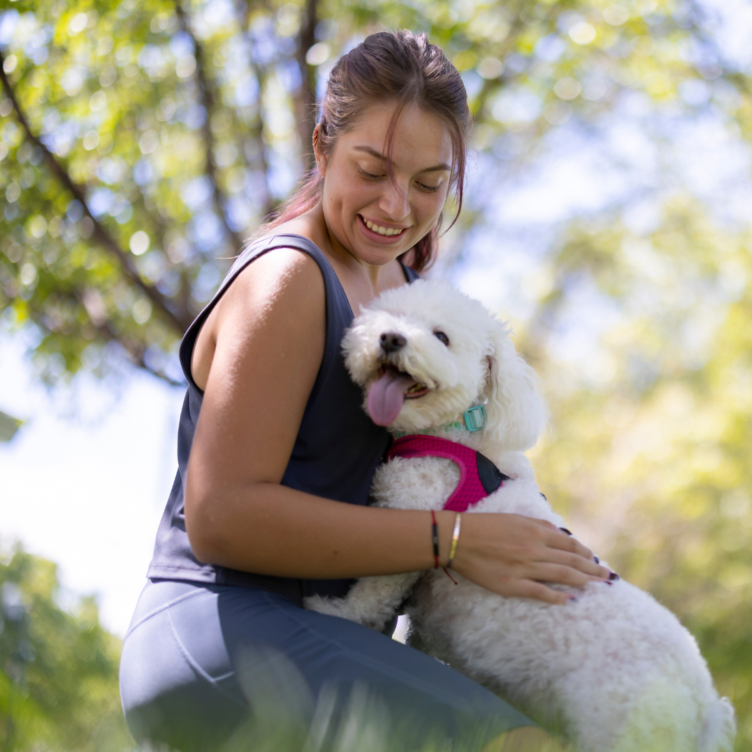 Pet's Cozy Foam Lounger | Comfortable Single Dog Seat for Hard Floors 1