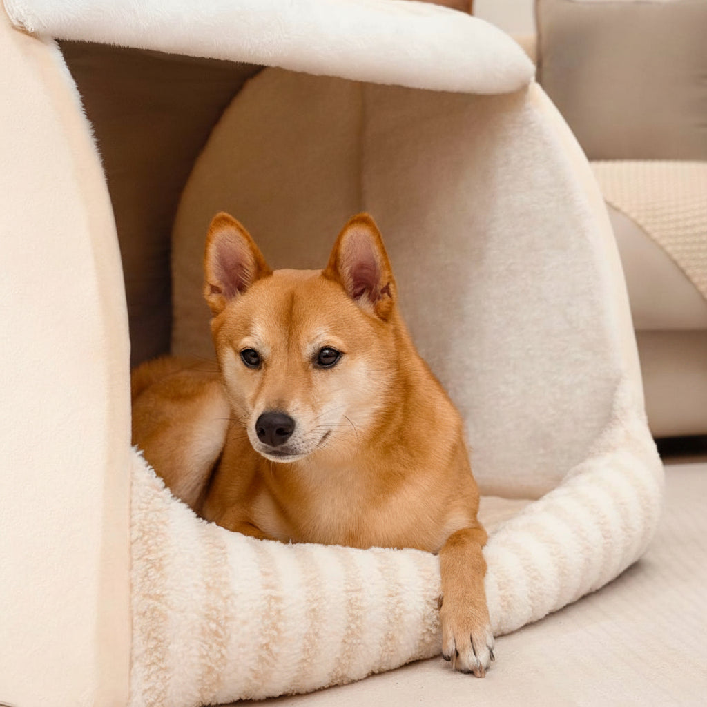 Pet's Cozy Plush Orthopedic Dog Bed | Stylish Striped Design for Comfort 6