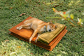Pet's Cozy Polyester Dog Bed | Anti-Anxiety Supportive Sleeping Cushion