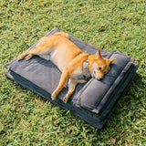Pet's Cozy Polyester Dog Bed | Anti-Anxiety Supportive Sleeping Cushion 10