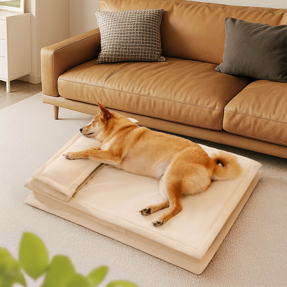 Pet's Cozy Polyester Dog Bed | Anti-Anxiety Supportive Sleeping Cushion 8