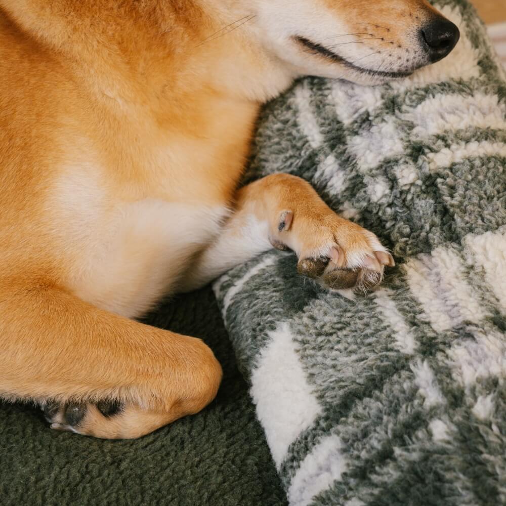 Pet's Cozy Teddy Fleece Sofa Bed | Vintage Checkered Design for Small-Medium Pets 6