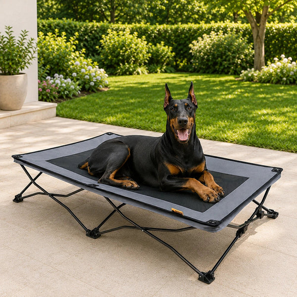 Pet's Elevated Polyester Dog Cot | Portable Cooling Bed for All Sizes 0