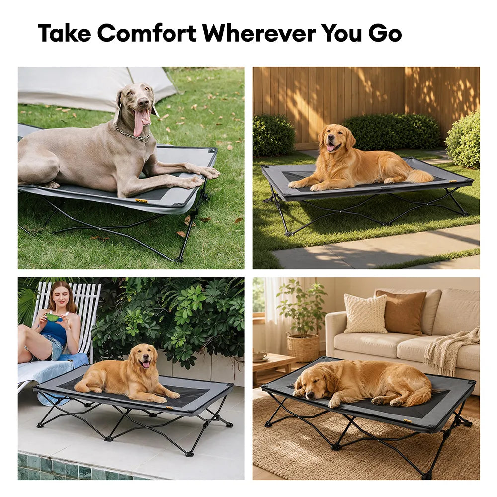 Pet's Elevated Polyester Dog Cot | Portable Cooling Bed for All Sizes 8