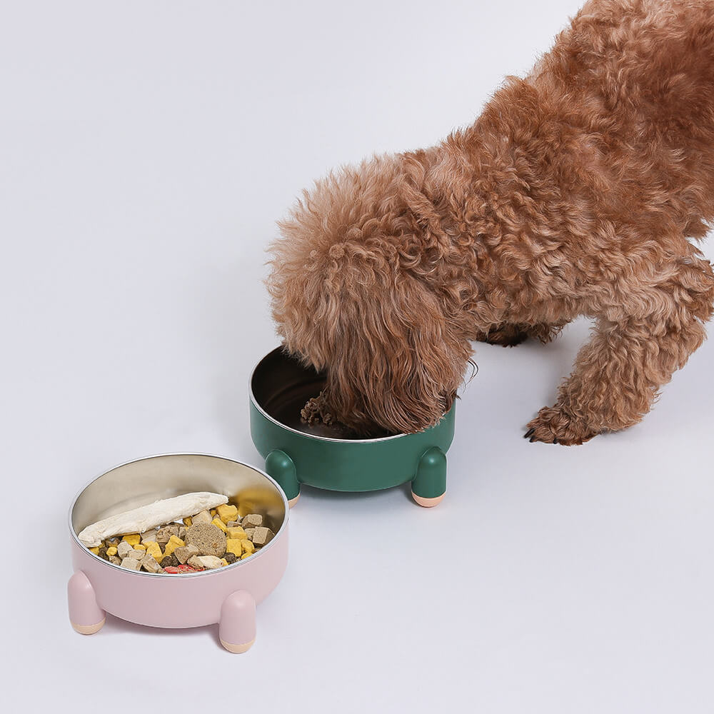 Pet's Elevated Polystyrene Dog Bowl | Stylish Tetrapod Design 1