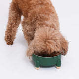 Pet's Elevated Polystyrene Dog Bowl | Stylish Tetrapod Design 5