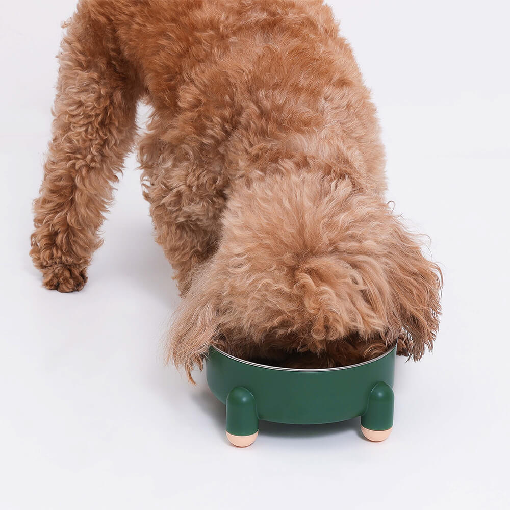 Pet's Elevated Polystyrene Dog Bowl | Stylish Tetrapod Design 5