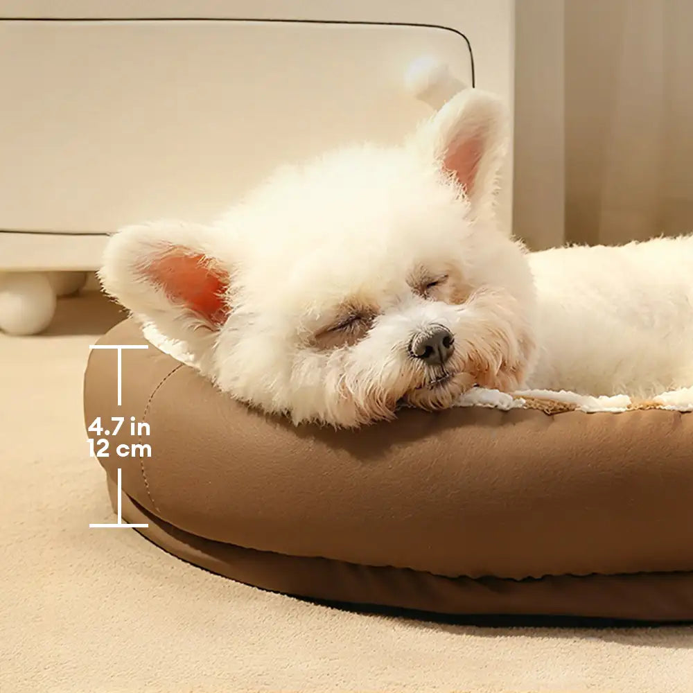Pet's Faux Leather Dog Bed | Cozy Removable Washable Cushion 5