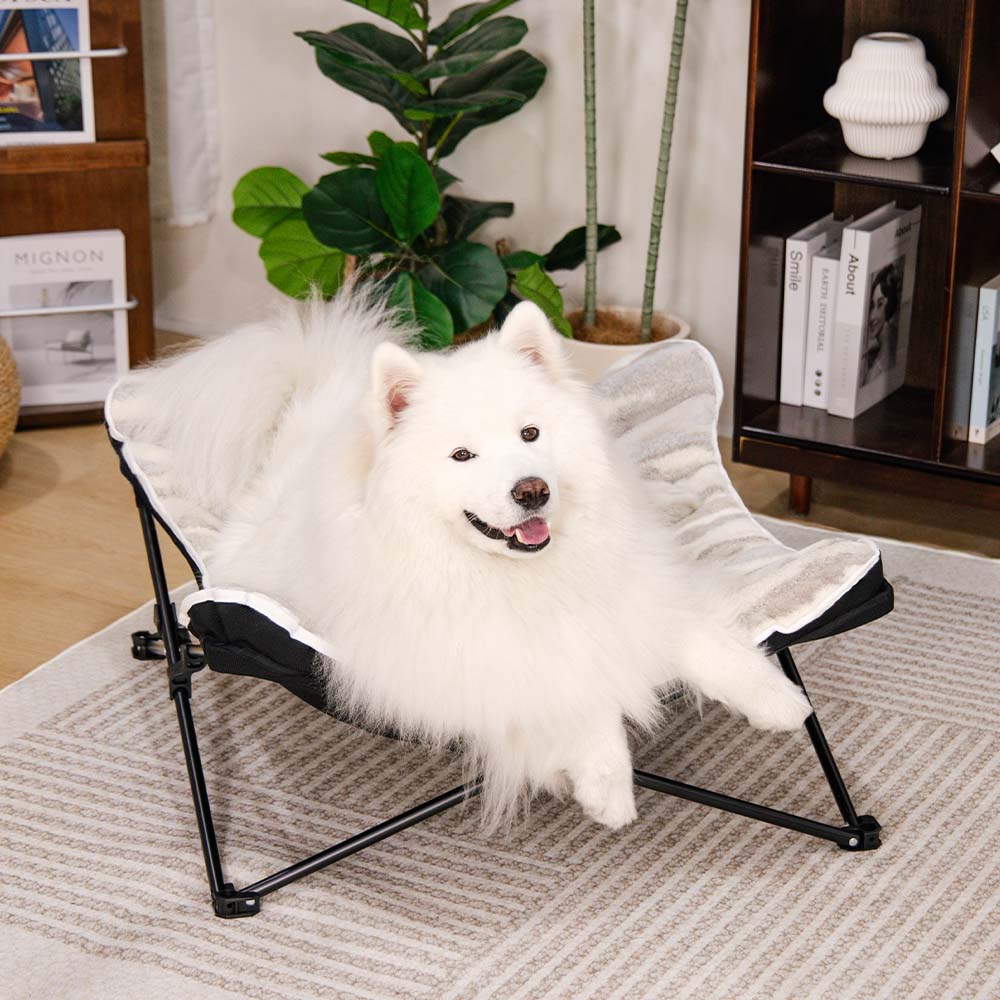 Pet's Foldable Polyester Elevated Bed | Comfortable Portable Outdoor Sleeping Spot 2