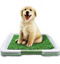 Pet's Indoor Artificial Turf Toilet | Multi-Layered Lightweight Design