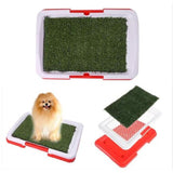 Pet's Indoor Artificial Turf Toilet | Multi-Layered Lightweight Design 1