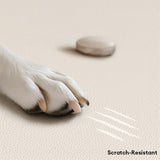 Pet's Natural Latex Sofa Bed | Supportive Anti-Scratch Design for Ultimate Comfort 2