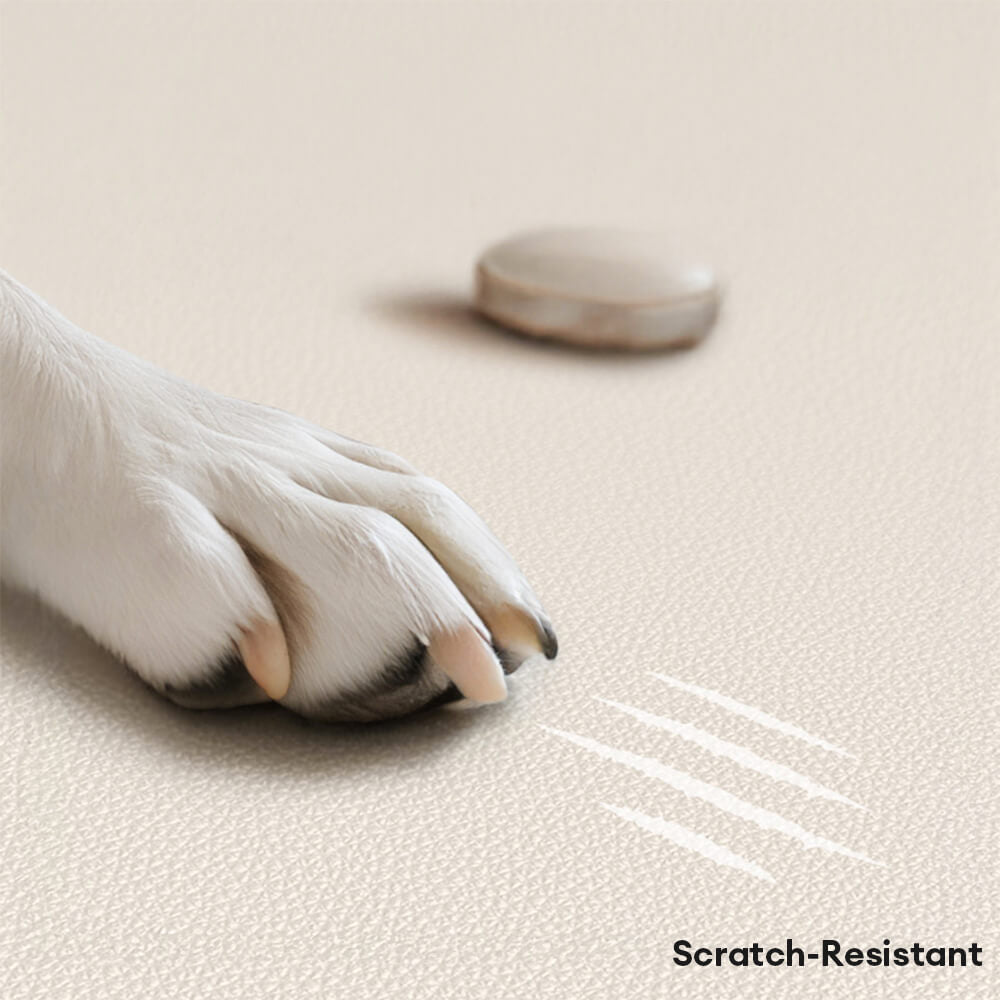 Pet's Natural Latex Sofa Bed | Supportive Anti-Scratch Design for Ultimate Comfort 2