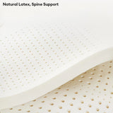 Pet's Natural Latex Sofa Bed | Supportive Anti-Scratch Design for Ultimate Comfort 4
