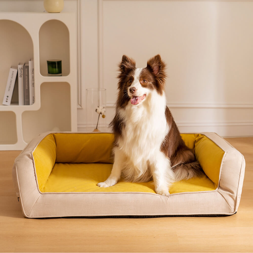 Pet's Orthopedic Foam Dog Sofa Bed | Supportive and Comfortable Lounger 2