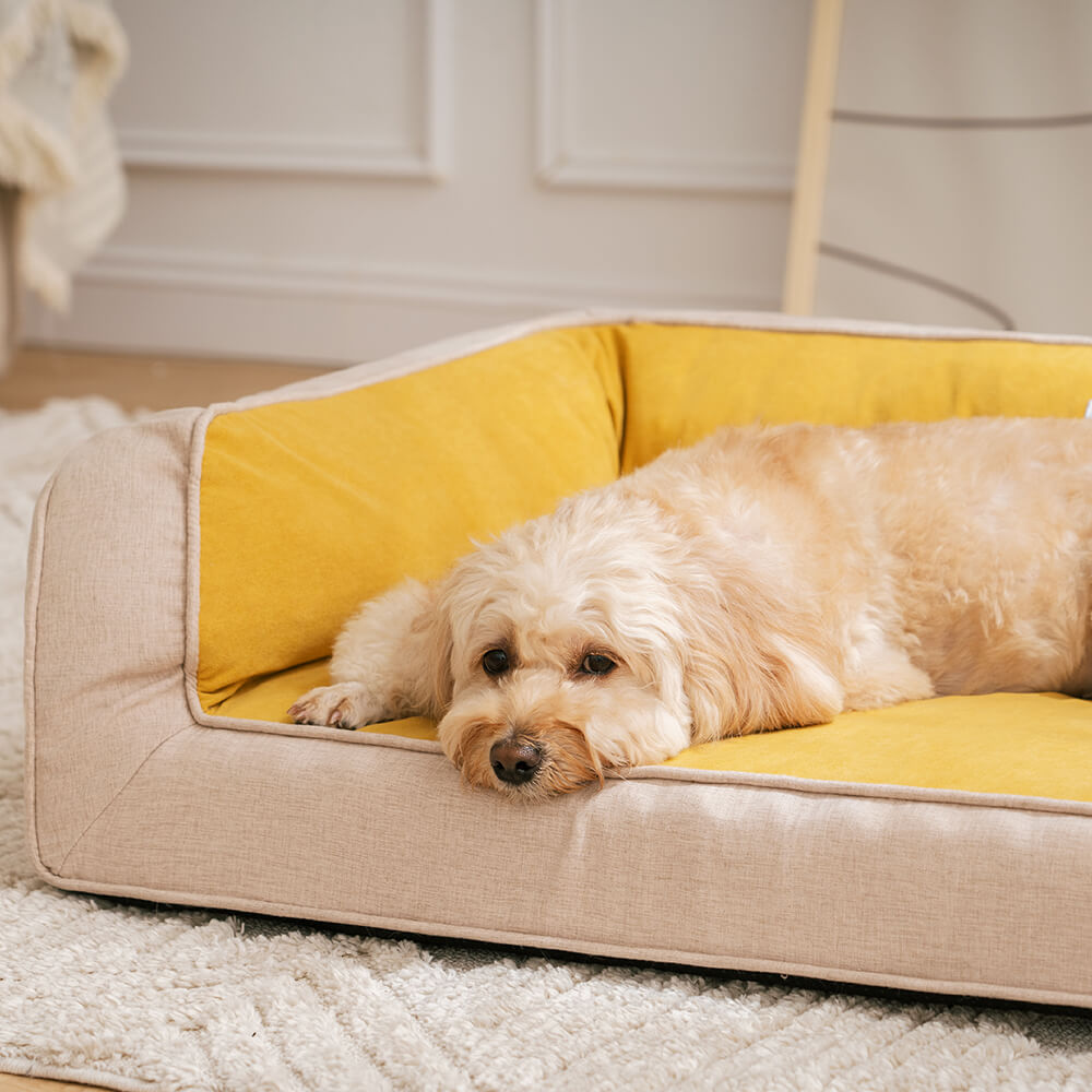 Pet's Orthopedic Foam Dog Sofa Bed | Supportive and Comfortable Lounger 7