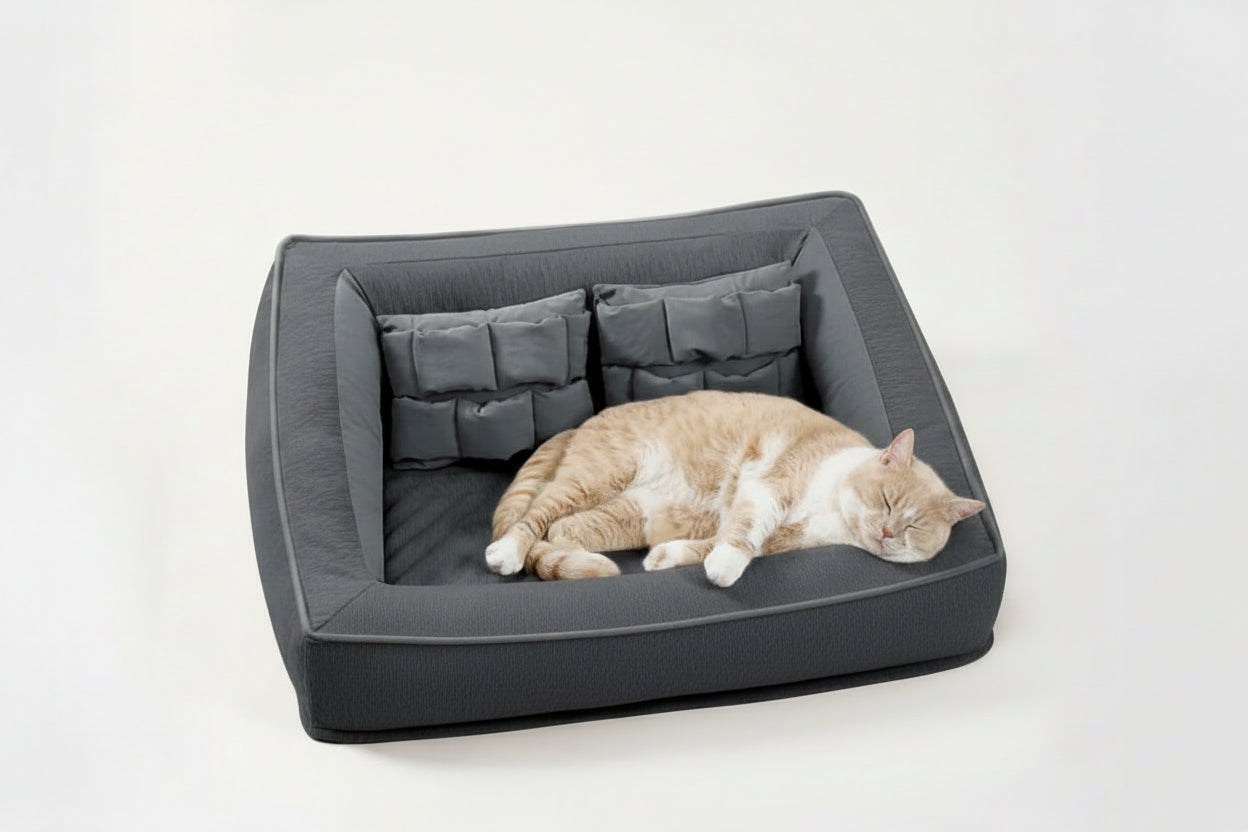Pet's Orthopedic Foam Sofa Bed | Comfortable Supportive Design with Pillows 11