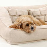 Pet's Orthopedic Foam Sofa Bed | Comfortable Supportive Design with Pillows 4