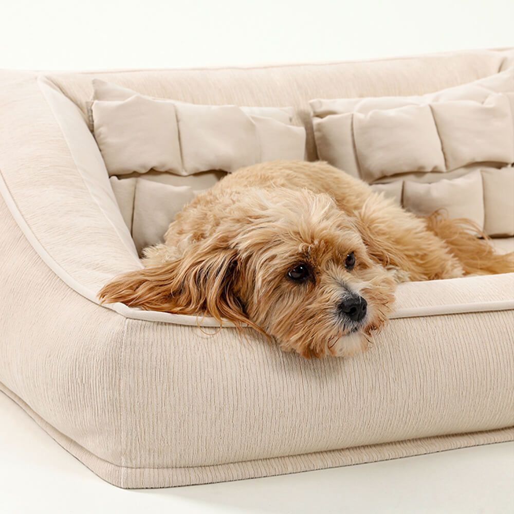 Pet's Orthopedic Foam Sofa Bed | Comfortable Supportive Design with Pillows 4