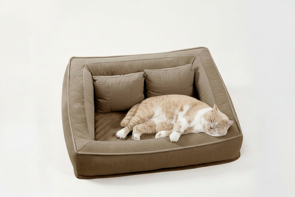 Pet's Orthopedic Foam Sofa Bed | Comfortable Supportive Design with Pillows 9
