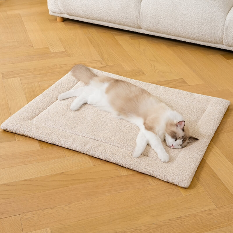 Pet's Plush Non-Slip Mat | Cozy and Comfortable Lounging Solution 3