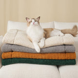 Pet's Plush Non-Slip Mat | Cozy and Comfortable Lounging Solution 4