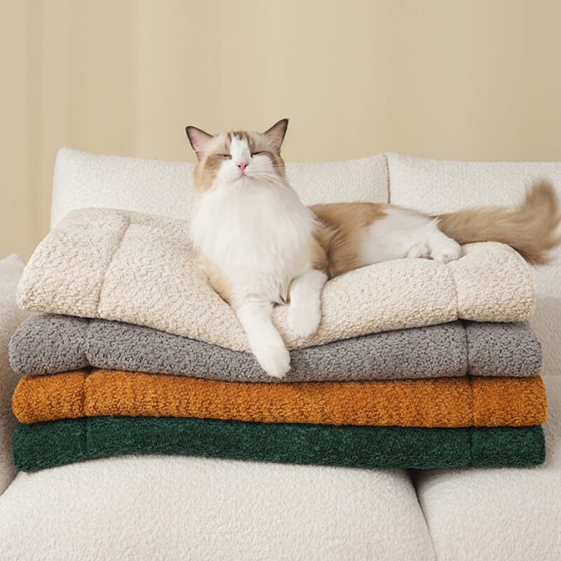Pet's Plush Non-Slip Mat | Cozy and Comfortable Lounging Solution 4