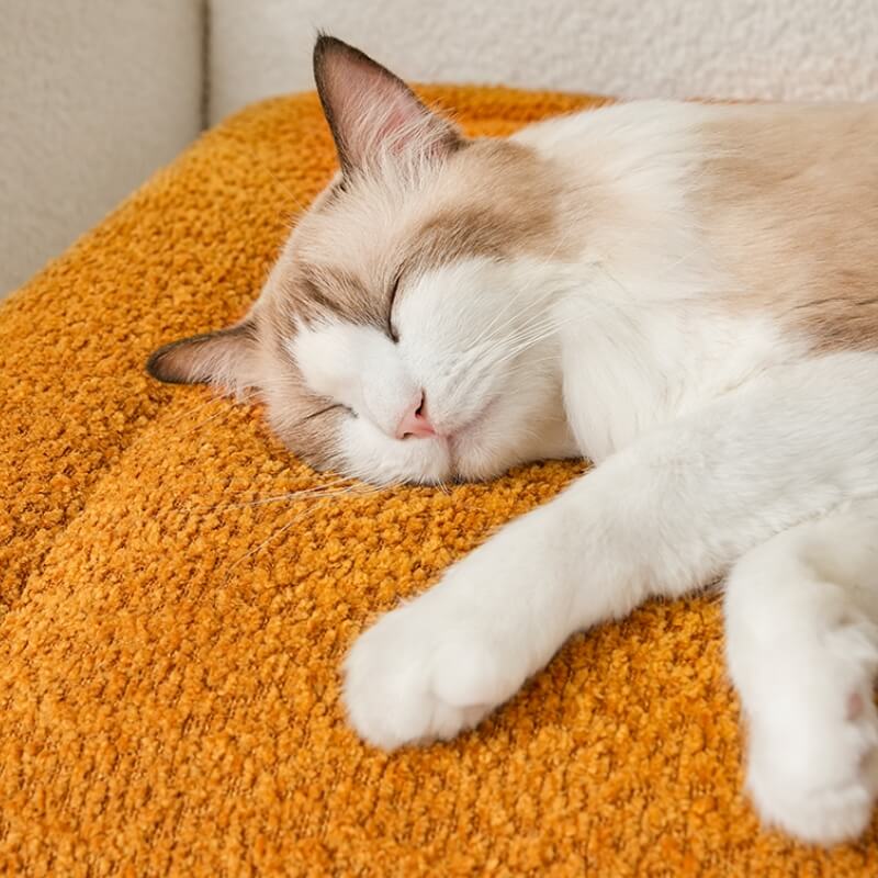 Pet's Plush Non-Slip Mat | Cozy and Comfortable Lounging Solution 6