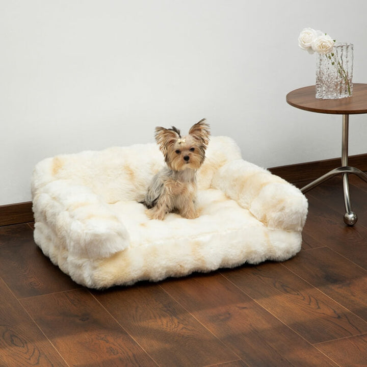 Pet's Plush Polyester Calming Bed | Thickened Cozy Sofa for Dogs and Cats 0