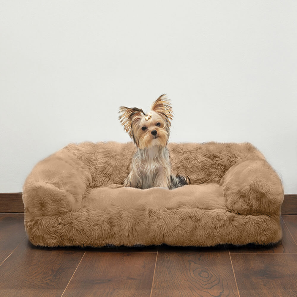 Pet's Plush Polyester Calming Bed | Thickened Cozy Sofa for Dogs and Cats 6