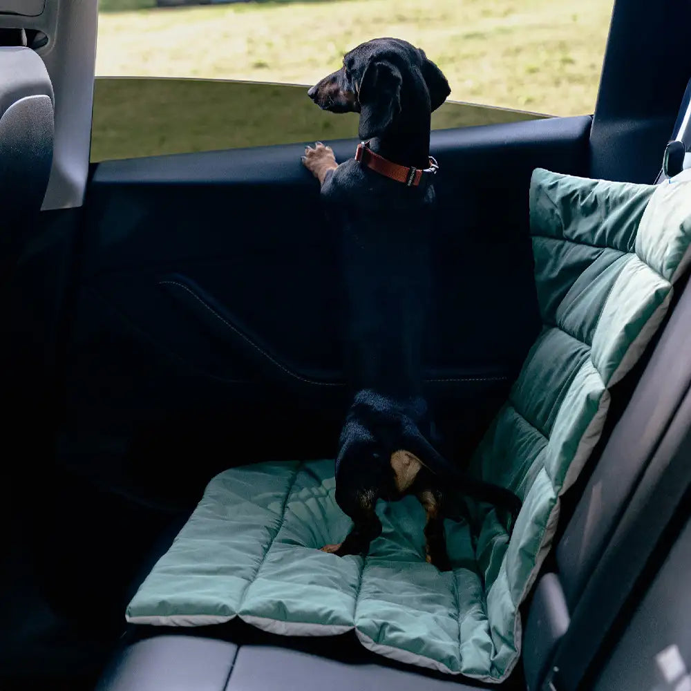 Pet's Portable Water-Repellent Dog Mat | Foldable Double-Sided Travel Accessory 1
