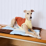 Pet's Water-Repellent Polyester Dog Mat | Soft Multi-Purpose Comfort 1