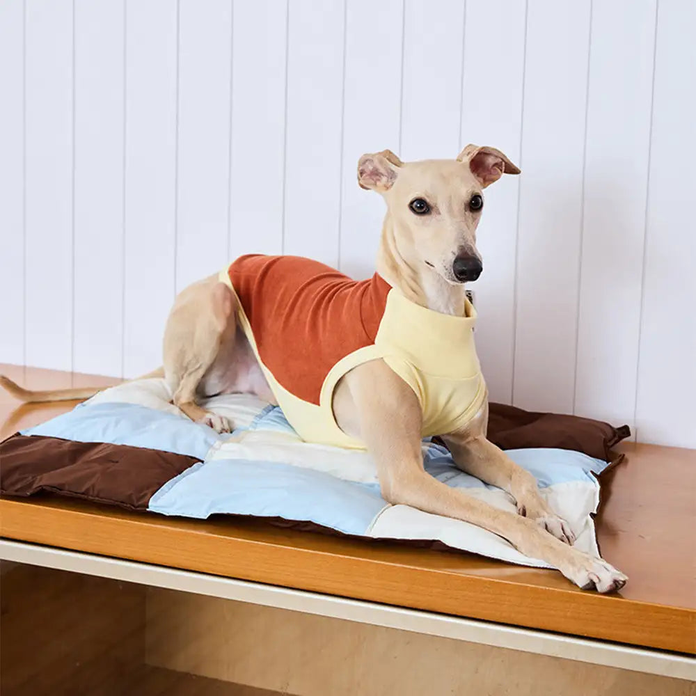 Pet's Water-Repellent Polyester Dog Mat | Soft Multi-Purpose Comfort 1