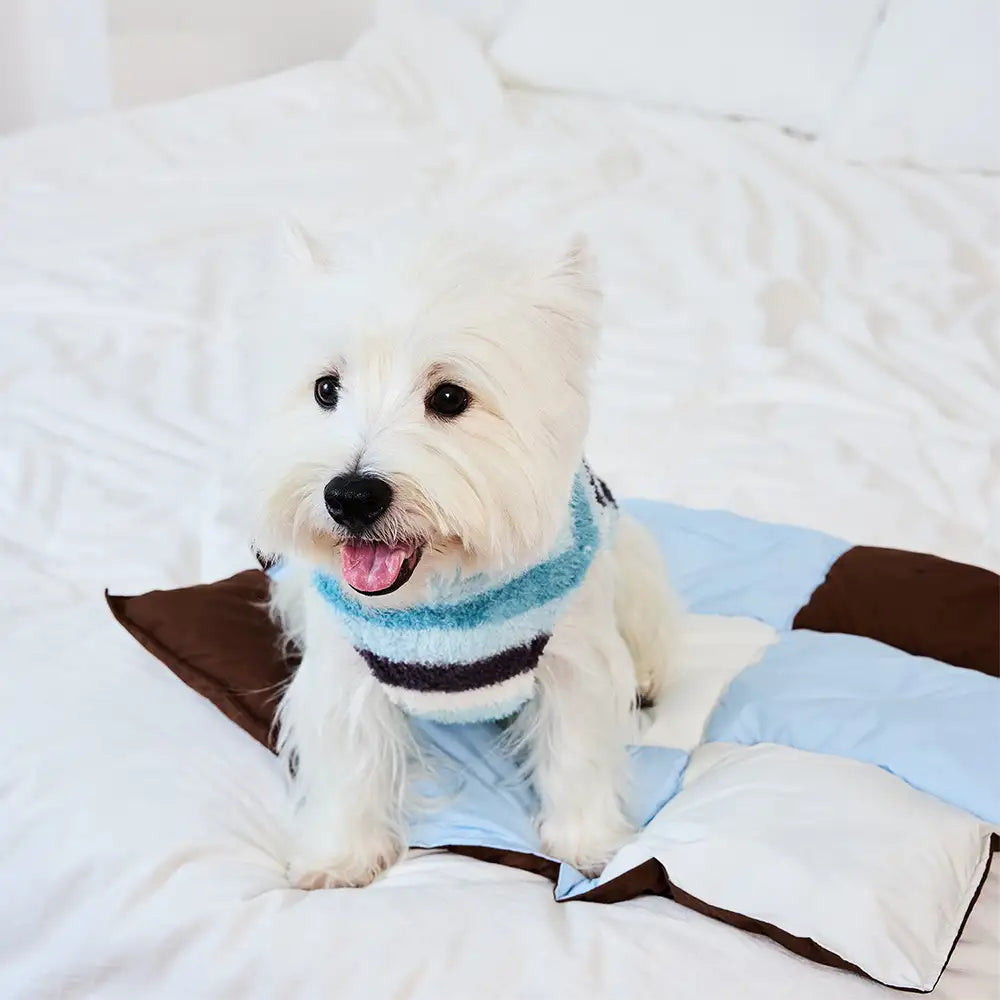 Pet's Water-Repellent Polyester Dog Mat | Soft Multi-Purpose Comfort 2
