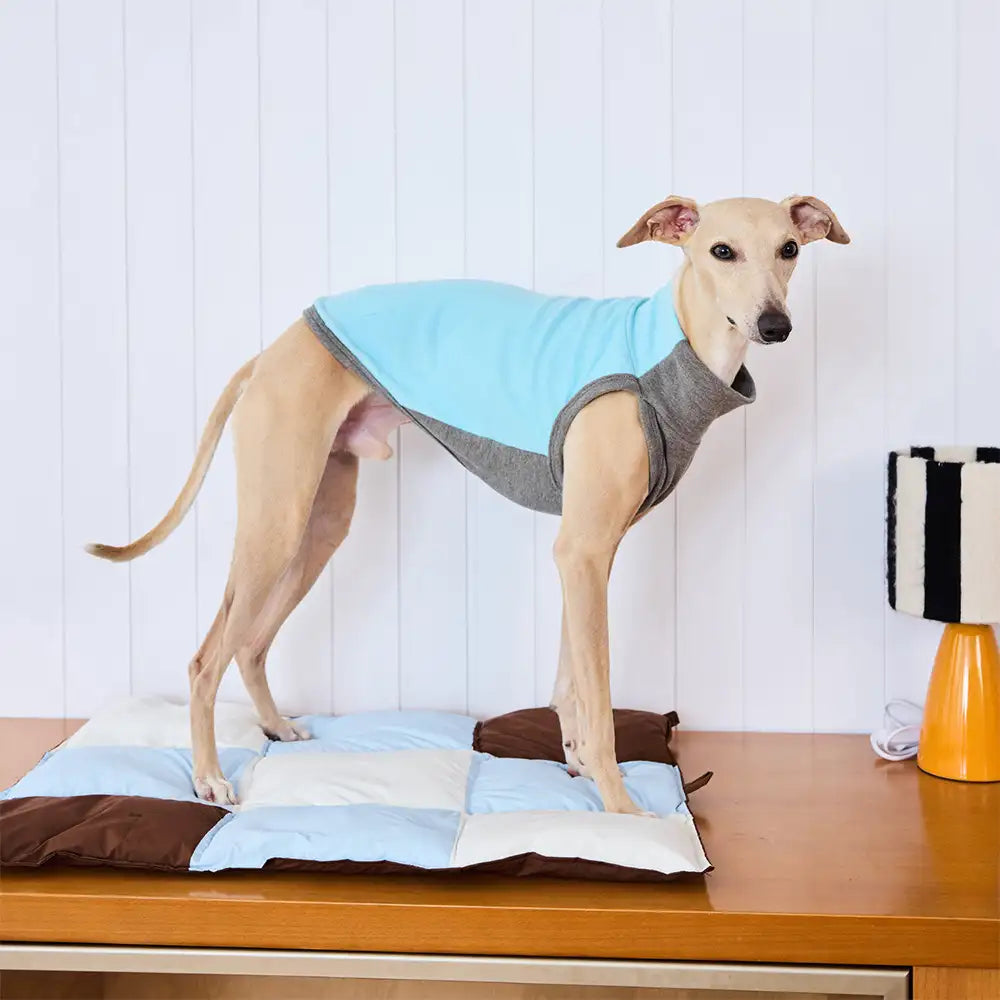 Pet's Water-Repellent Polyester Dog Mat | Soft Multi-Purpose Comfort 3