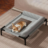 Mesh Elevated Dog Bed | Breathable Raised Pet Cot with Removable Pillow for Patio Sunbathing