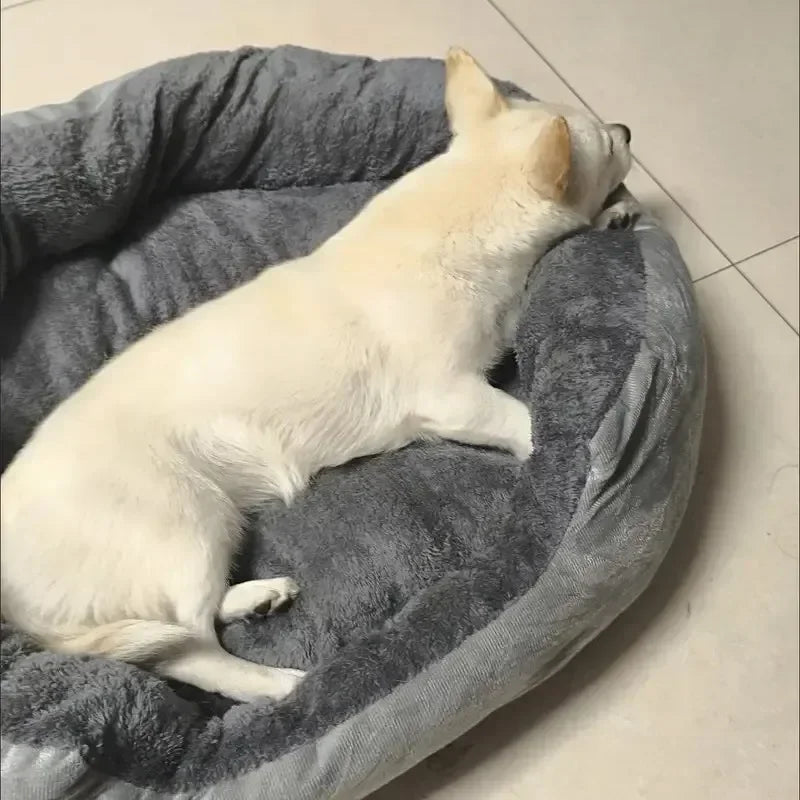 Soft Warm Dog Bed Sofa | 100% Cotton Cushion for Medium to Large Dogs