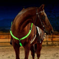 Unisex Adjustable Nylon LED Breast Collar | Rechargeable Safety Light for Horses
