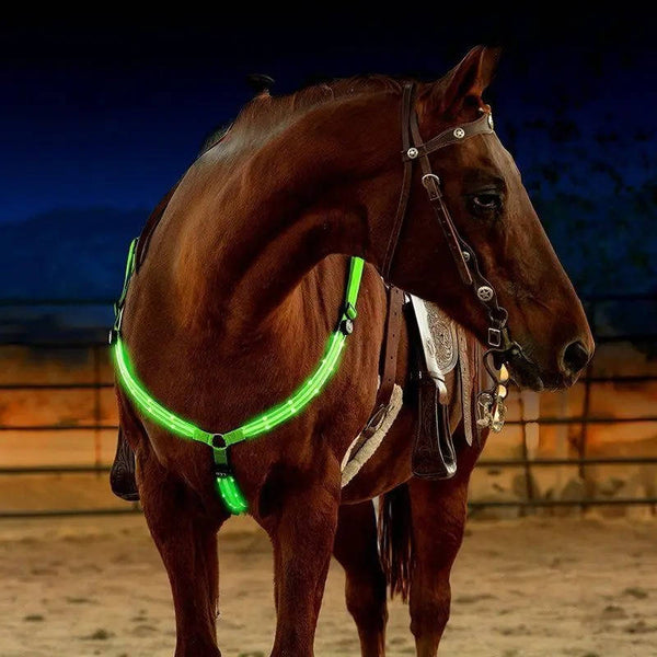 Unisex Adjustable Nylon LED Breast Collar | Rechargeable Safety Light for Horses 0
