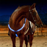 Unisex Adjustable Nylon LED Breast Collar | Rechargeable Safety Light for Horses 3