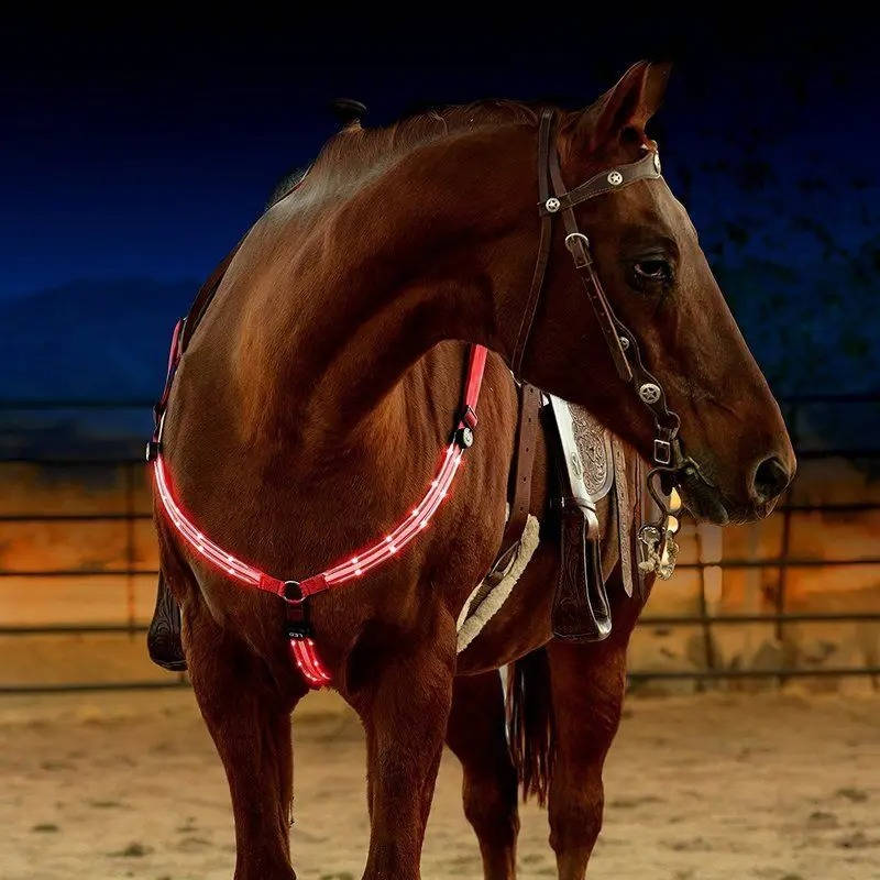 Unisex Adjustable Nylon LED Breast Collar | Rechargeable Safety Light for Horses 7