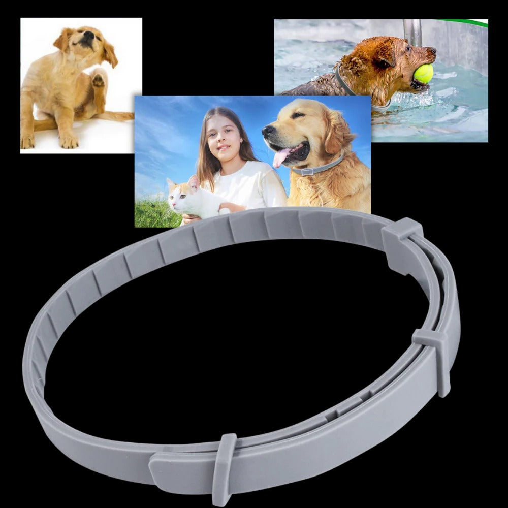 Unisex Adjustable Water-Resistant Pet Collar | Safe Flea and Tick Repellent 1