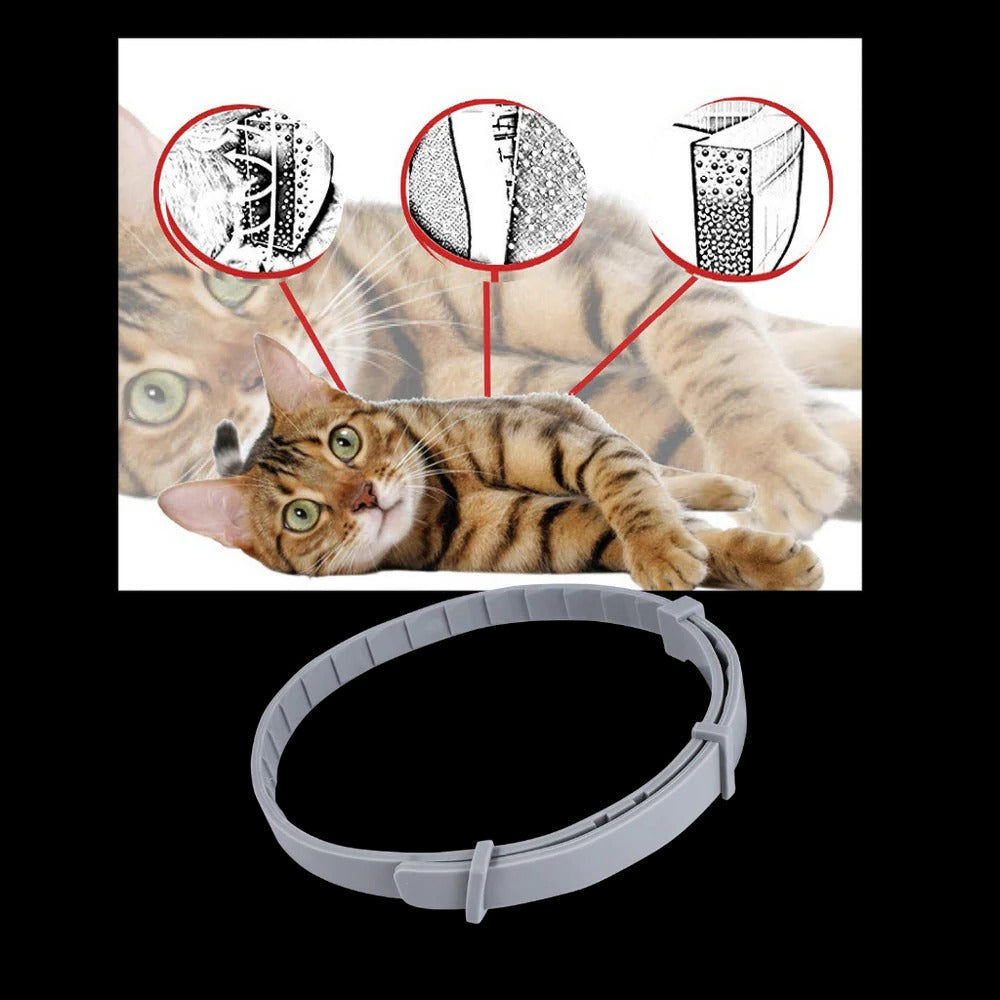 Unisex Adjustable Water-Resistant Pet Collar | Safe Flea and Tick Repellent 3