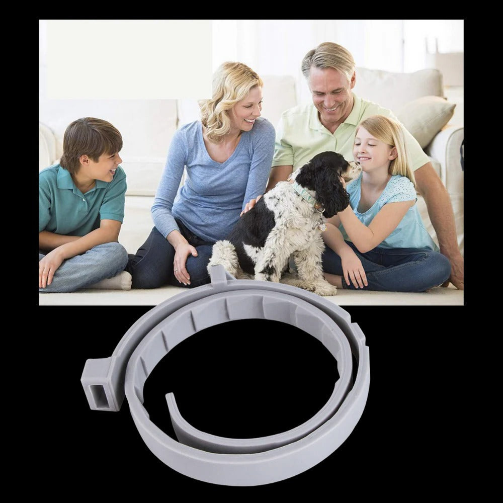 Unisex Adjustable Water-Resistant Pet Collar | Safe Flea and Tick Repellent 5
