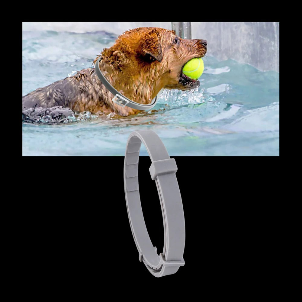 Unisex Adjustable Water-Resistant Pet Collar | Safe Flea and Tick Repellent 6