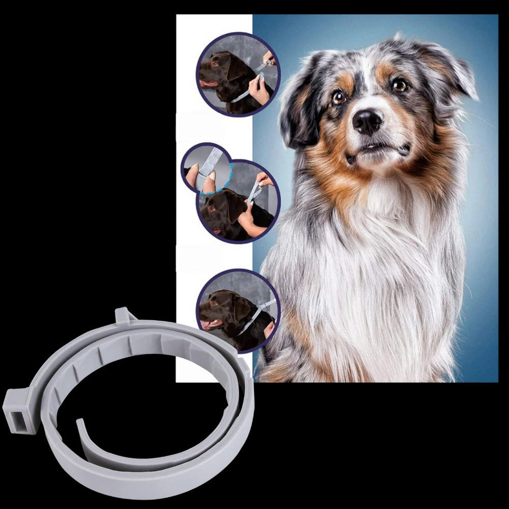 Unisex Adjustable Water-Resistant Pet Collar | Safe Flea and Tick Repellent 7